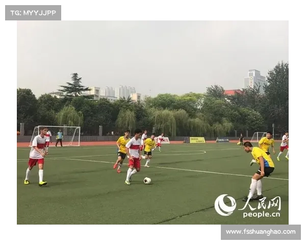 中巴足球发展差异的历史深度剖析与未来协同融合路径展望 中巴足球发展差异的历史深度剖析与未来协同融合路径展望